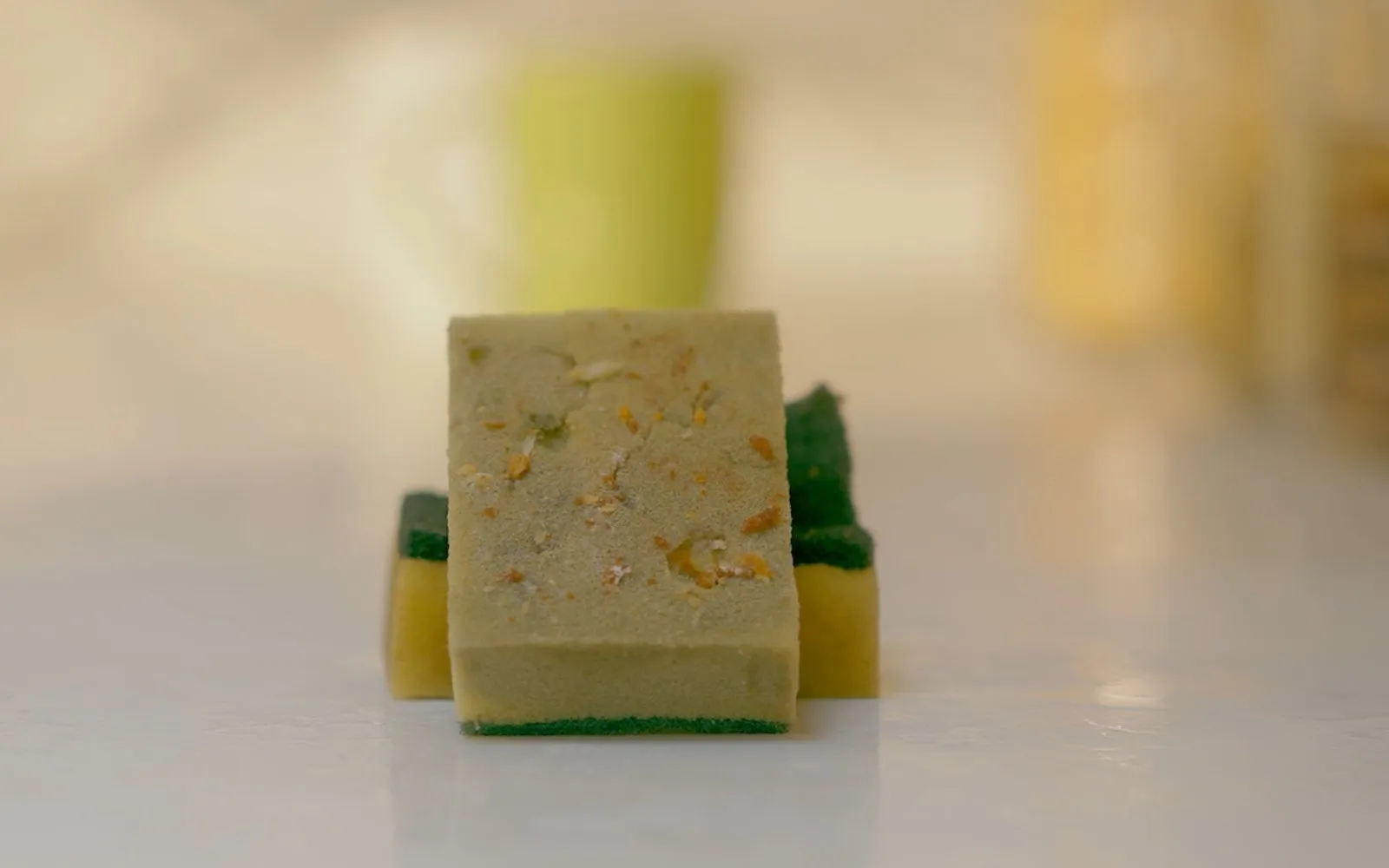 Foam sponge