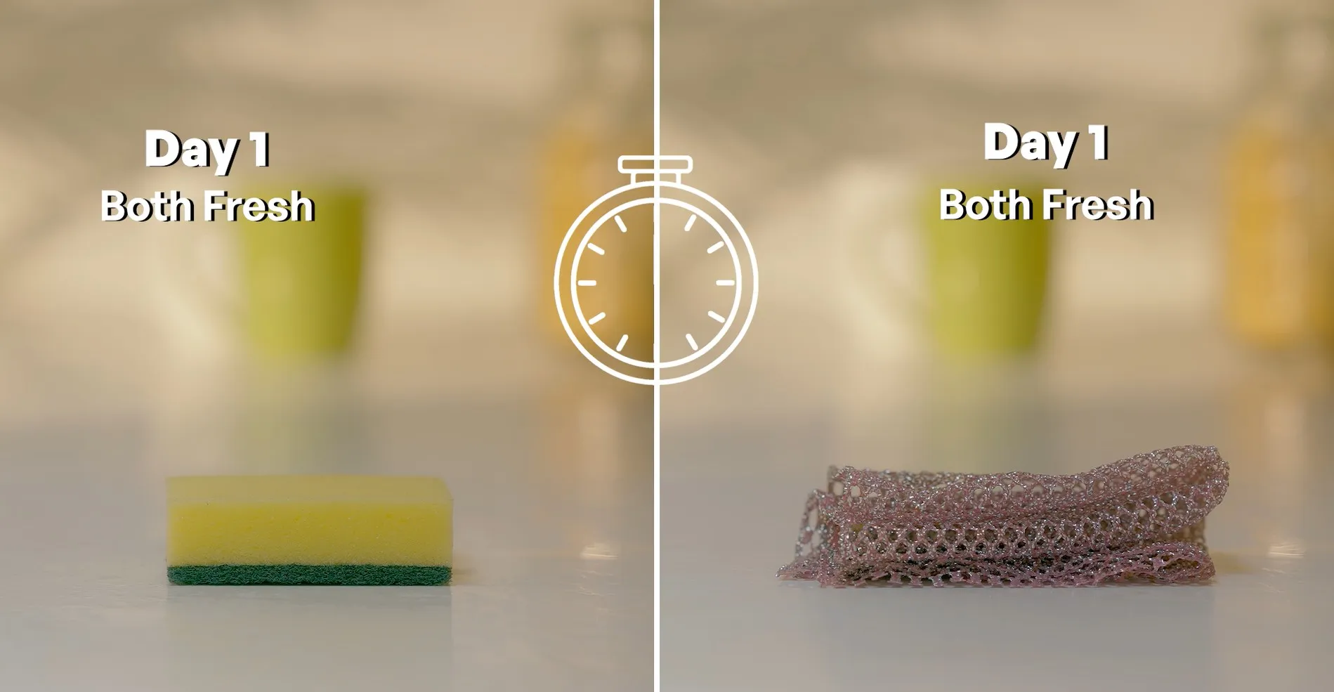 Day 1: a new sponge and a new Non-Scratch Scourer side by side, both fresh