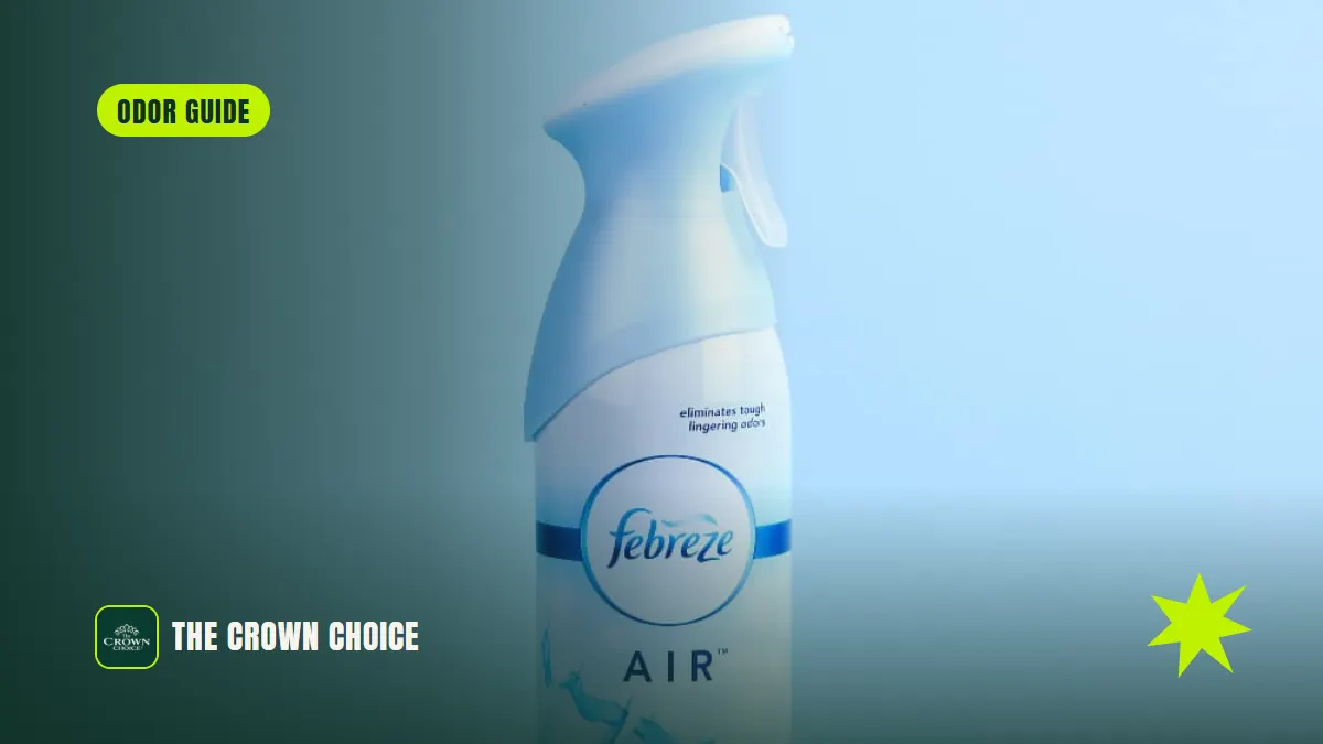 Unlock the Power of Aromatherapy Spray 11