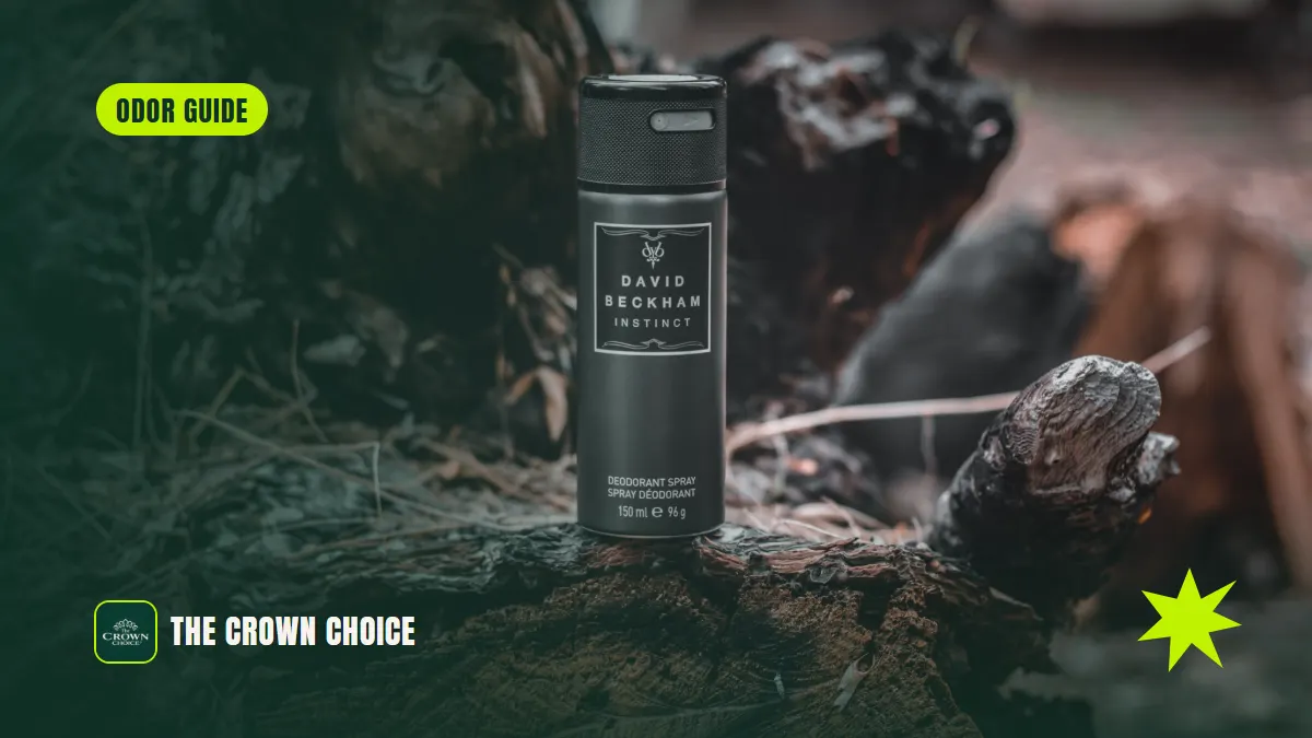 Best Spray On Deodorant 1