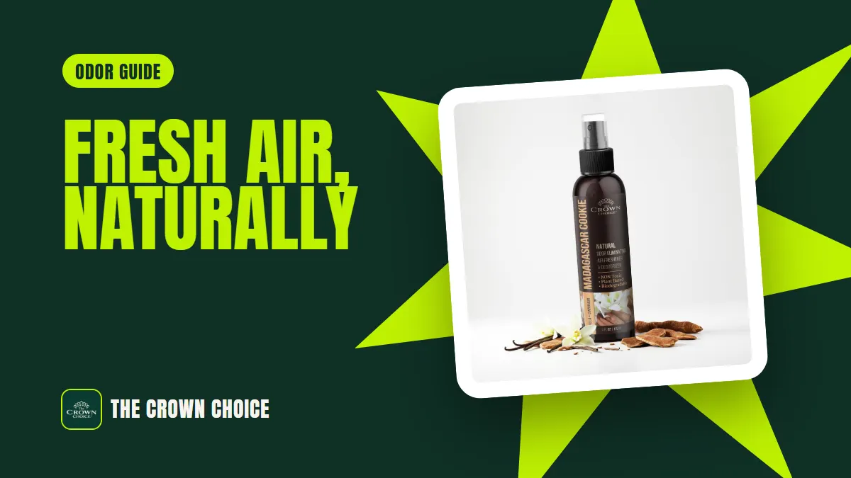 Top 5 Cheap Air Fresheners Revealed 10