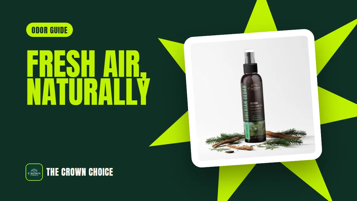 Classroom Air Freshene 7