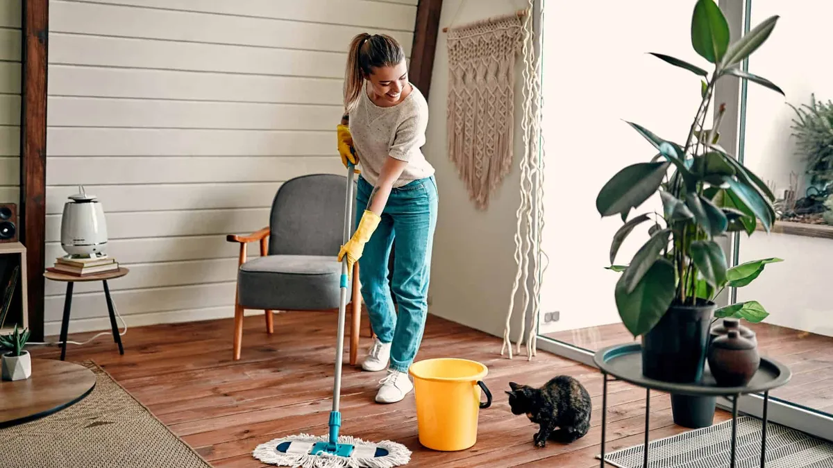 Seasonal Home Maintenance Guide 1
